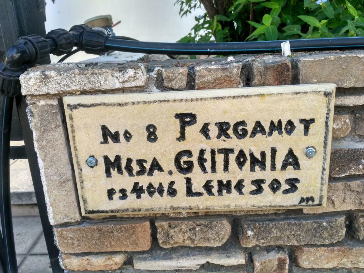 Mystery Shack Albergue Limassol Exterior foto